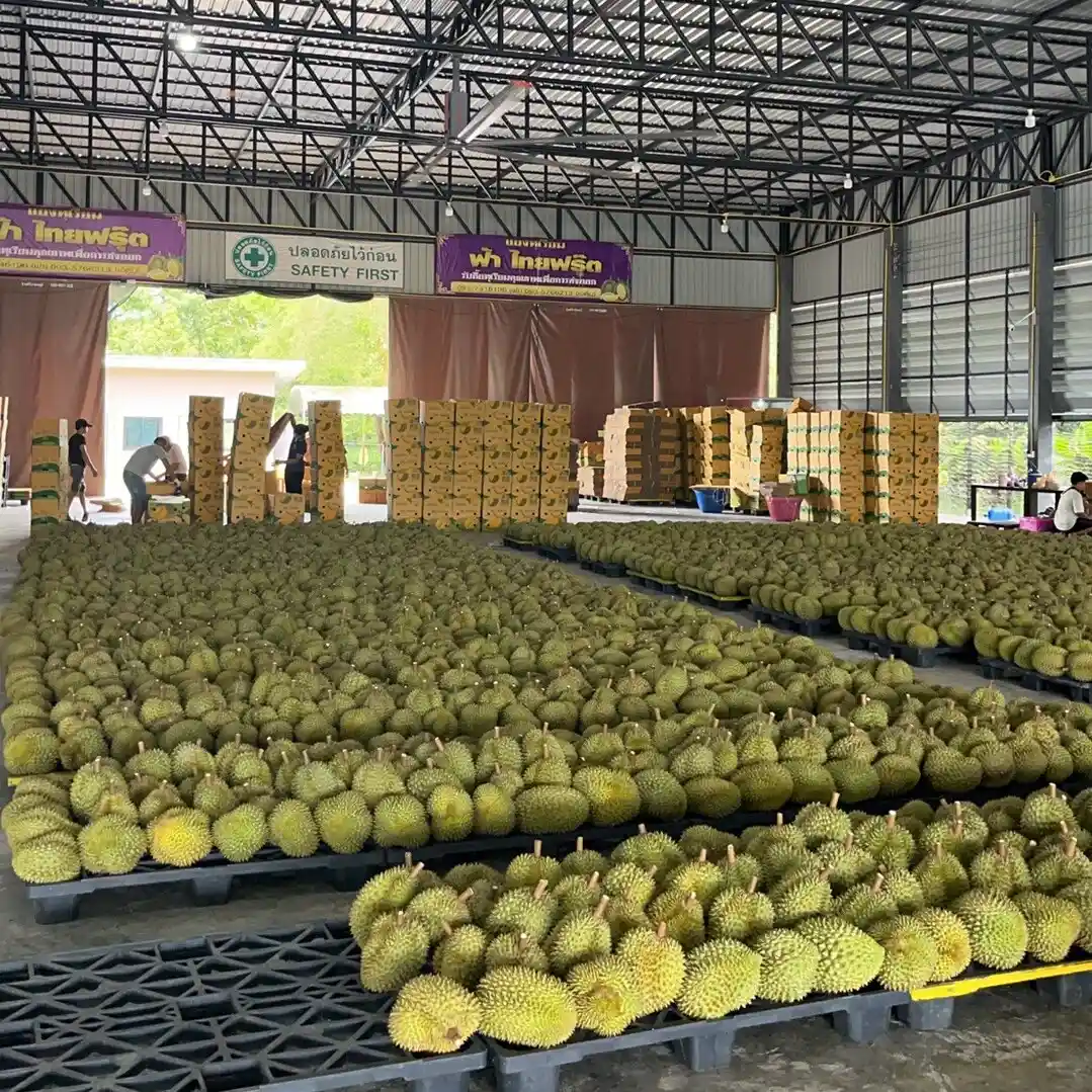 pg�ͽ�Ů��-(�ٷ���)�й���վ