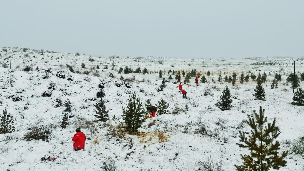 pg�ͽ�Ů��-(�ٷ���)�й���վ