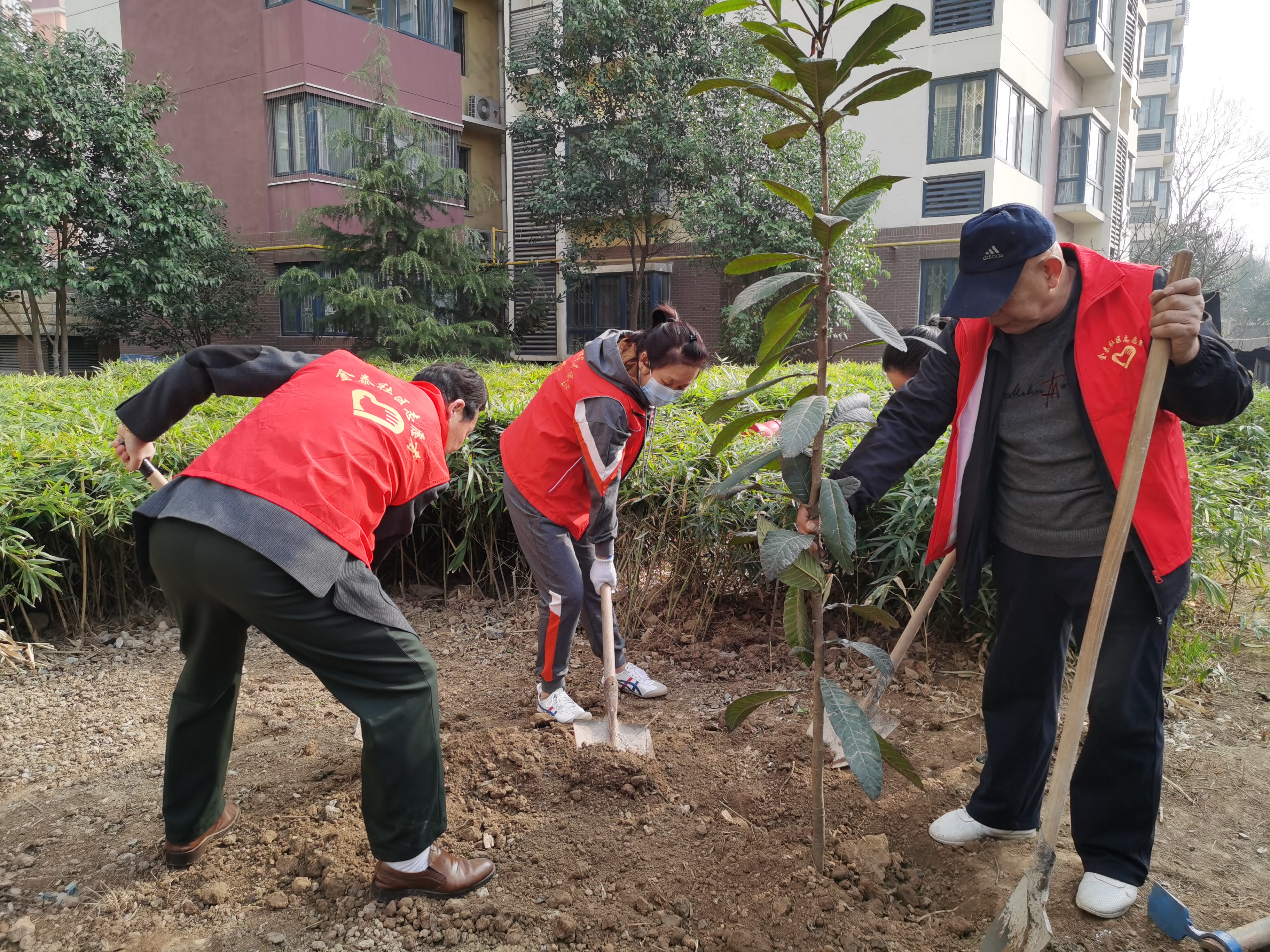 20210531288897.jpg 20210531288897.jpg