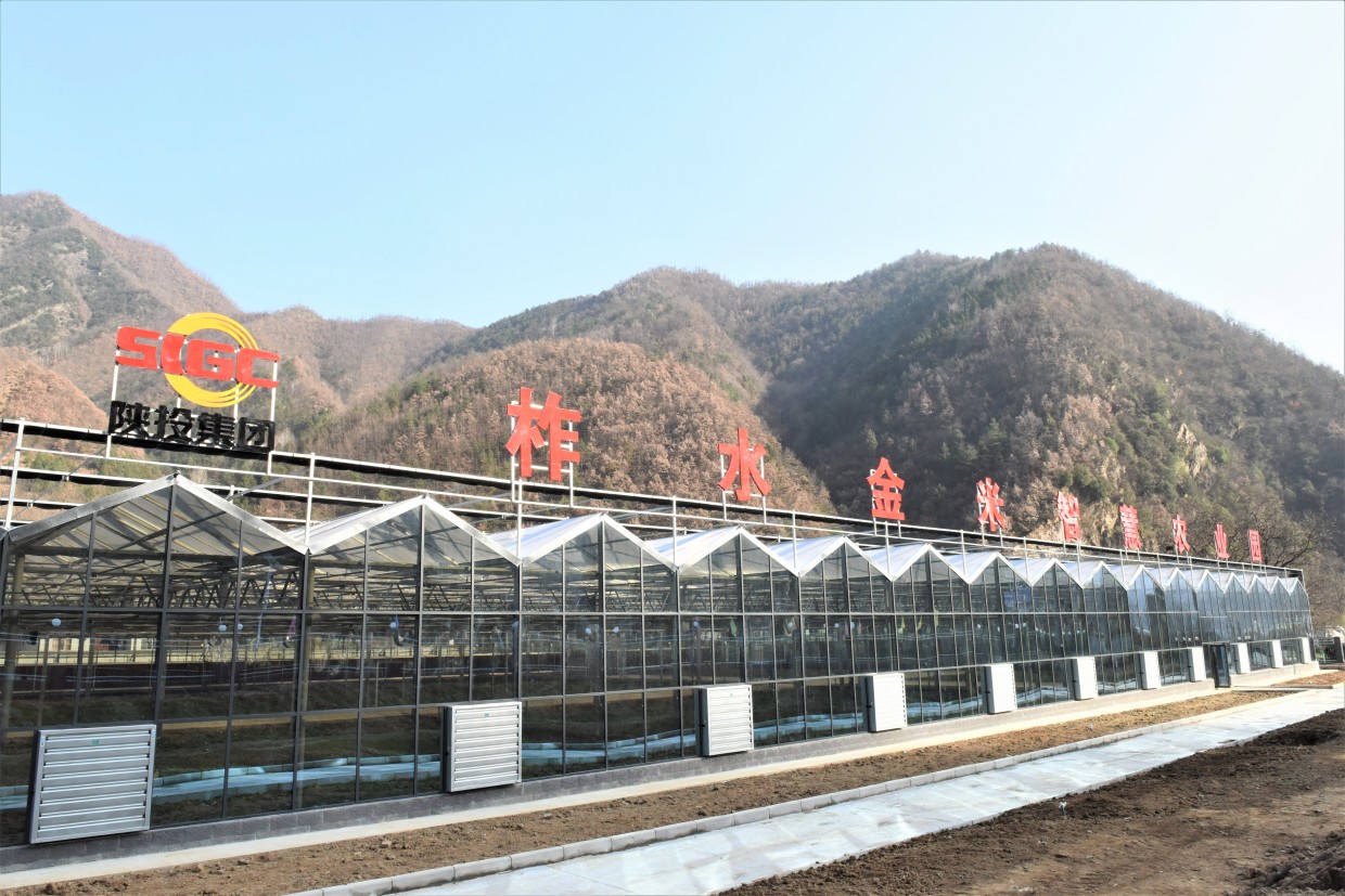 pg�ͽ�Ů��-(�ٷ���)�й���վ