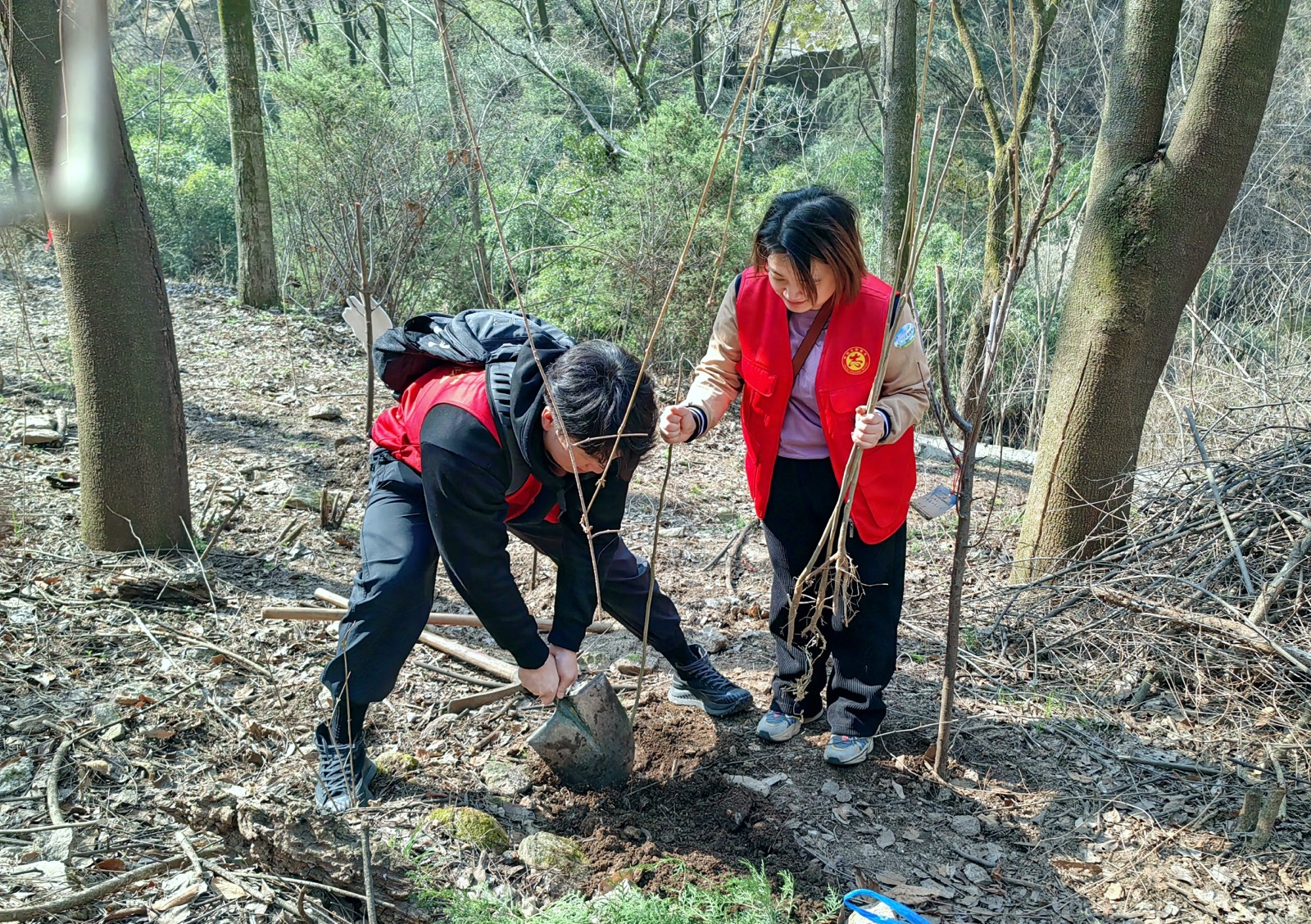 20240322827198.jpg 20240322827198.jpg