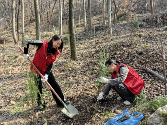 20240325575458.png image.png