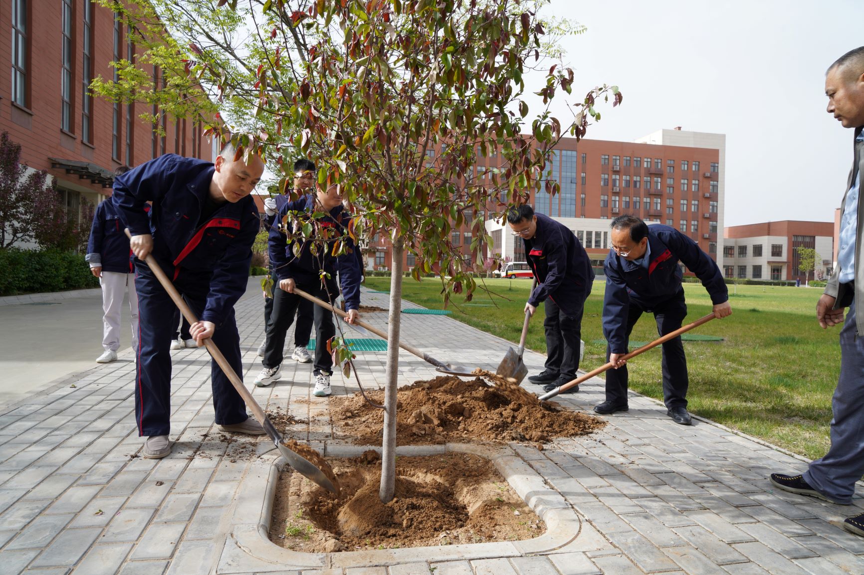 20240424485714.jpg 20240424485714.jpg