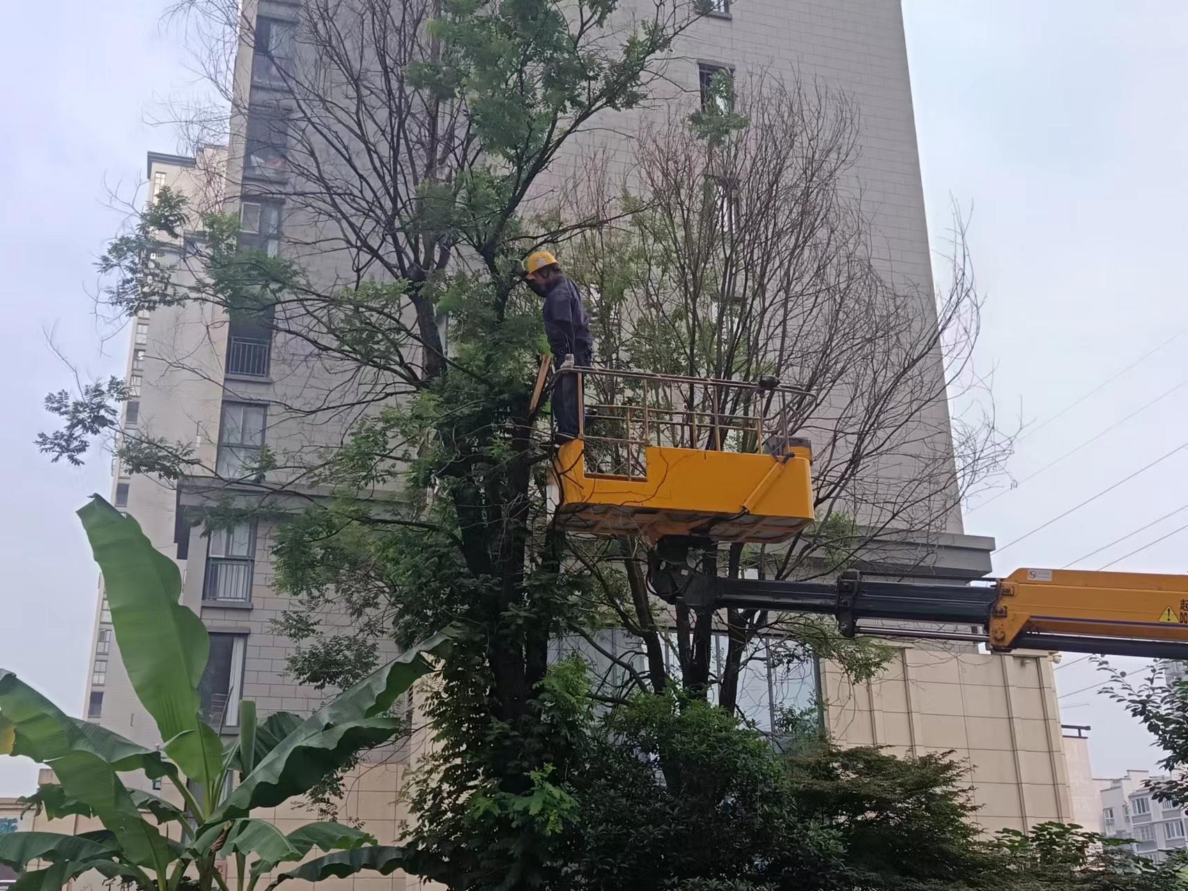 pg�ͽ�Ů��-(�ٷ���)�й���վ