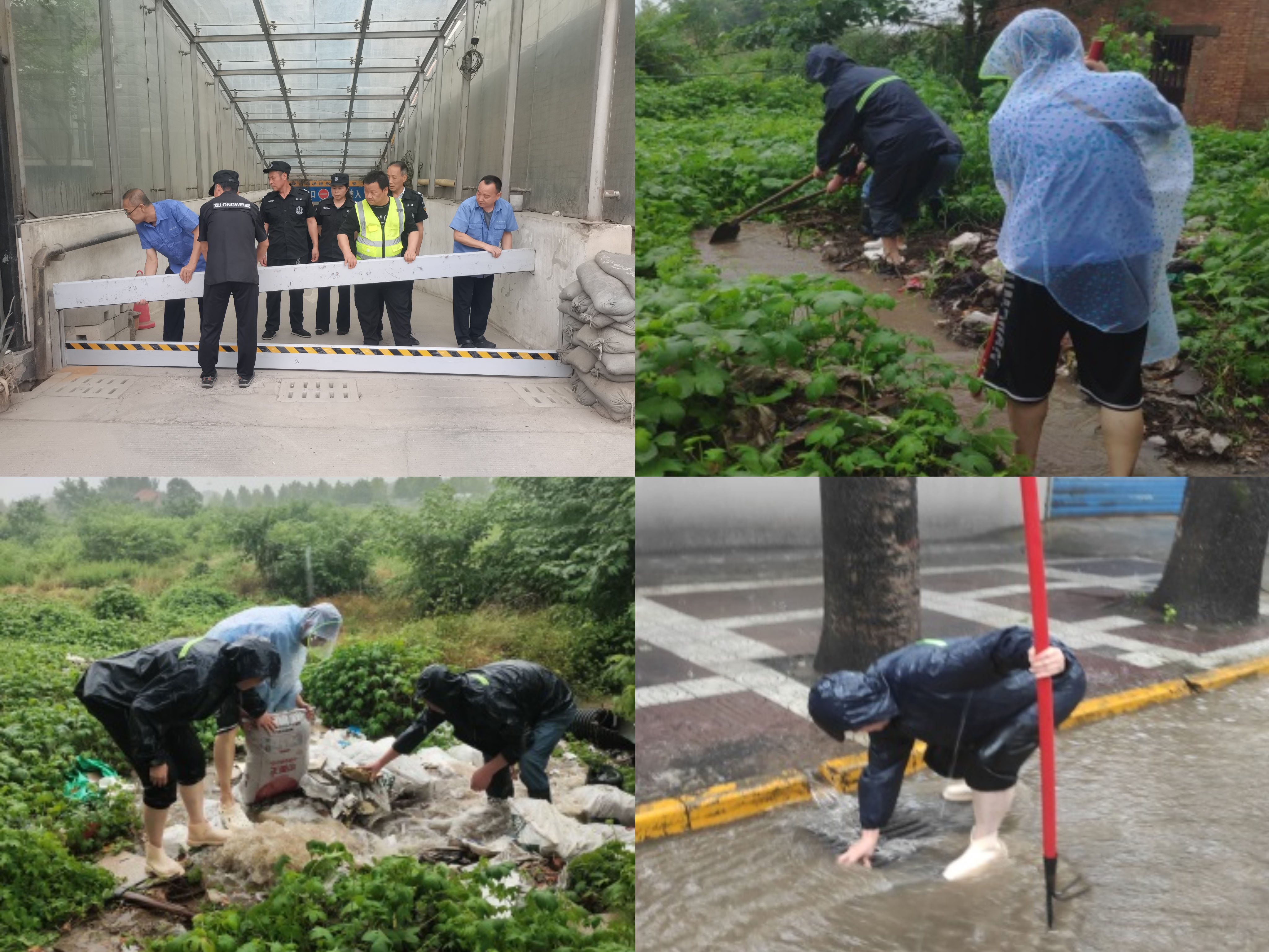 20240711515437.jpg 20240711515437.jpg