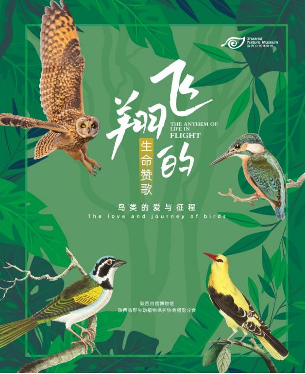 pg�ͽ�Ů��-(�ٷ���)�й���վ