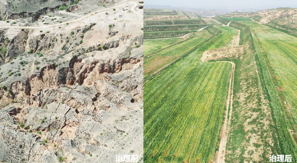 pg�ͽ�Ů��-(�ٷ���)�й���վ